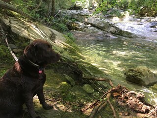 Casa per le vacanze Dolcedo Ambiente 37