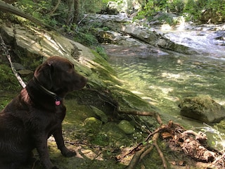 Maison de vacances Dolcedo Environnement 37