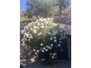 Maison de vacances Dolcedo Enregistrement extérieur 15