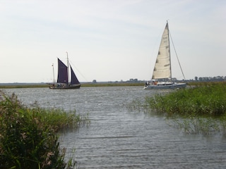 Boddenblick