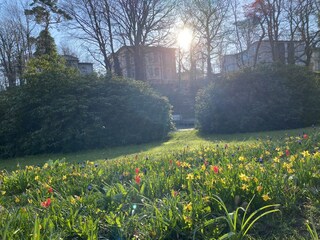 Blick aus dem Park auf die Villen