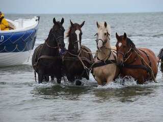 Appartamento Buren Ambiente 15