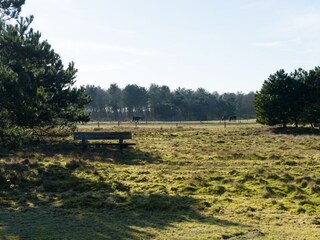 Appartamento Buren Ambiente 11