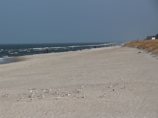 Strand in Prerow