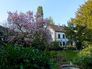 Sicht auf die Villa vom Garten aus