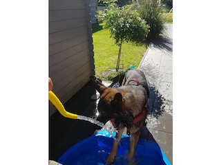 Badezeit im Garten
