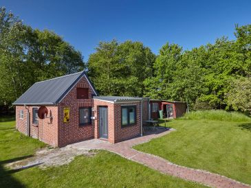 Ferienhaus Austernfischer