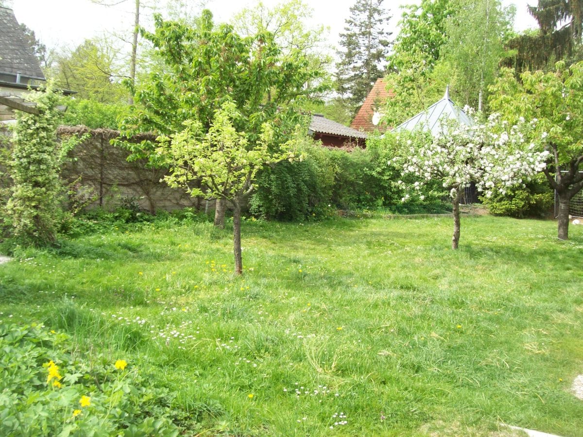 Blick zur Gartensauna