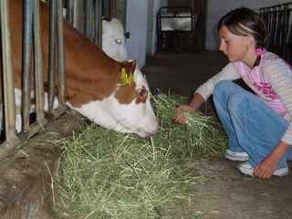 Appartamento per vacanze Völs am Schlern Ambiente 27