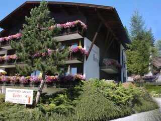 Vakantieappartement Seefeld in Tirol Buitenaudio-opname 3