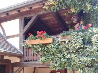 Holiday house Colmar & Umgebung Outdoor Recording 27