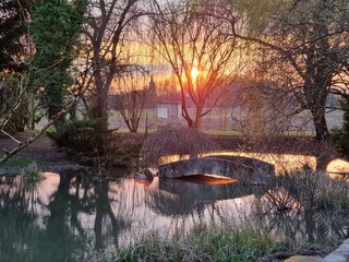 Holiday house Colmar & Umgebung Outdoor Recording 32