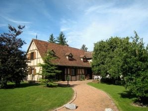 Holiday house Gite-Jebsheim - Jebsheim - image1