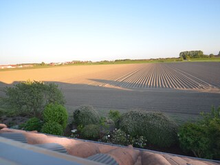 unverbauter Blick vom Dachfenster nach Carolinensiel..