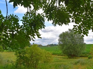 Bungalow Kalkhorst Environment 31