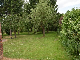 Appartement Alt Bukow Buitenaudio-opname 10