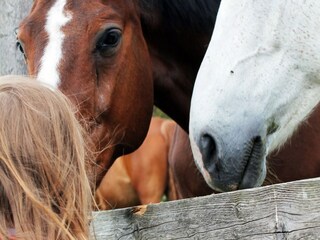 Appartamento Alt Bukow Ambiente 42