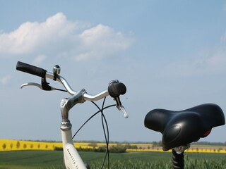 Appartement Alt Bukow  44