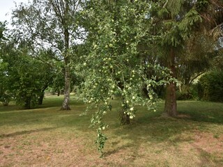 Appartement Alt Bukow Buitenaudio-opname 3