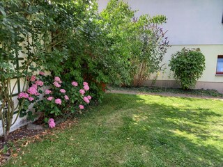 Apartment Alt Bukow Outdoor Recording 5
