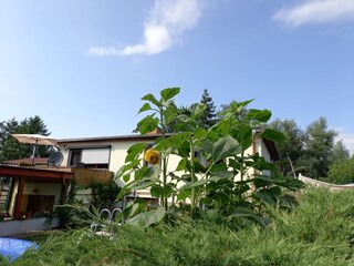 Appartamento Alt Bukow  35