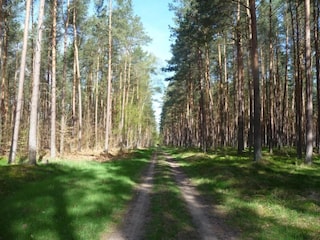 Apartment Rövershagen Umgebung 23