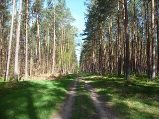 Appartement Rövershagen Omgeving 23