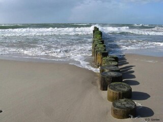 Apartment Rövershagen Umgebung 32