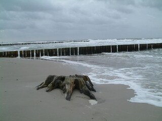 Appartement Rövershagen Omgeving 28