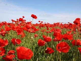 Apartamento Rövershagen Entorno 23