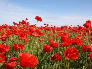 Appartamento Rövershagen Ambiente 35