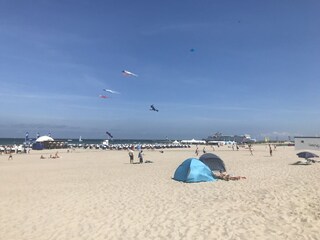 Holiday house Lübberstorf Environment 34