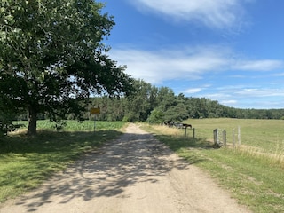 Vakantiehuis Lübberstorf Omgeving 32