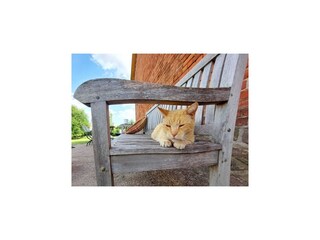 Casa de vacaciones Lübberstorf  42