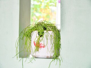 Appartement Rövershagen  35