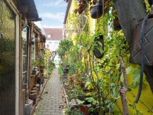 Apartment Bewohnbares Museum in Wismar mit Garten - Wismar - image1