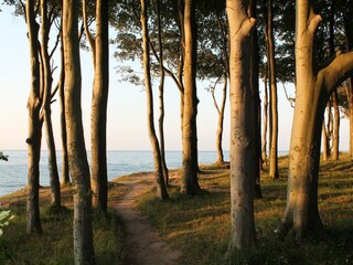 Appartamento Nienhagen  55