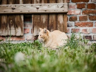 Appartement Lübberstorf Enregistrement extérieur 13