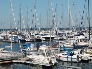 Apartment Wittenbeck Umgebung 32