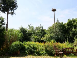 Apartment Ferienwohnung Parkblick mit 3 Schlafzimmern - Altenpleen - image1