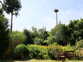 Appartement Altenpleen Buitenaudio-opname 4