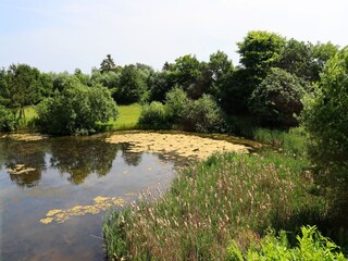 Appartement Altenpleen Enregistrement extérieur 5