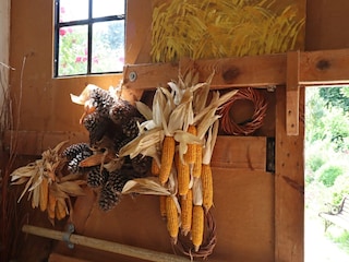 Appartement Altenpleen  39