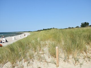 Appartement Altenpleen Omgeving 33