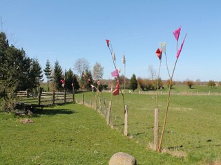 Apartment Altenpleen Environment 34