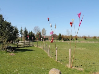 Appartement Altenpleen Omgeving 34