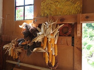 Appartement Altenpleen  36