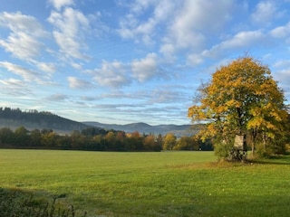 Apartment Medebach Umgebung 32