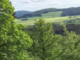 Appartement Medebach Environnement 33