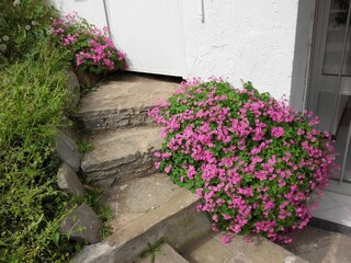 Appartamento per vacanze Stresa Registrazione all'aperto 3